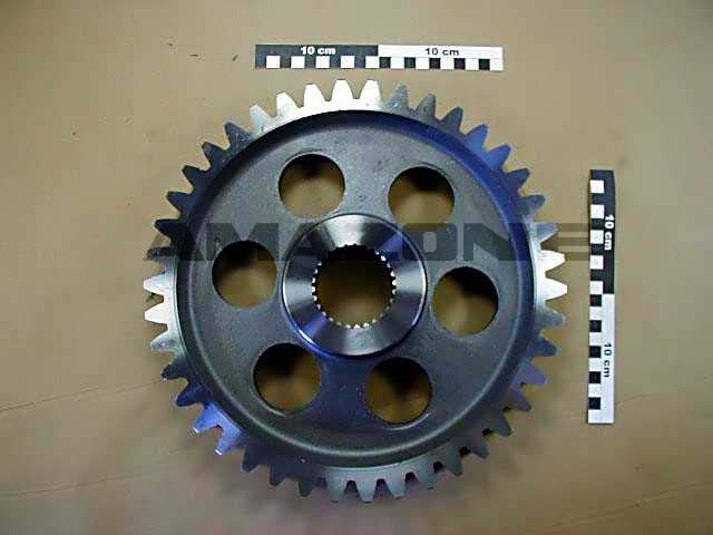 STIRNRAD Z = 42 ALT: 6613400 ALT: 951481