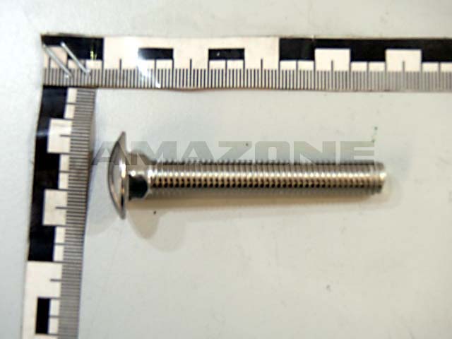 Flachrundschraube DIN 603 10x70 VA