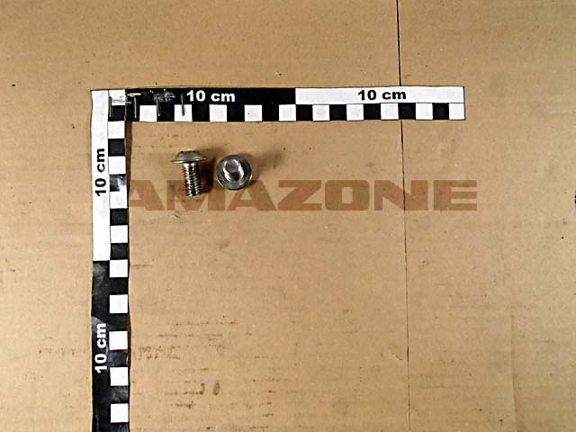 Halbrundkopfschraube DIN 34805-2 10x20 TX50 VA
