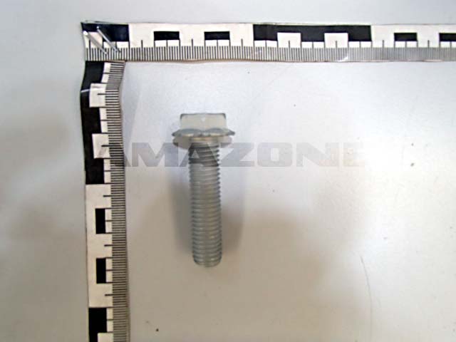Sperrzahnschraube 12x50 100 VZ