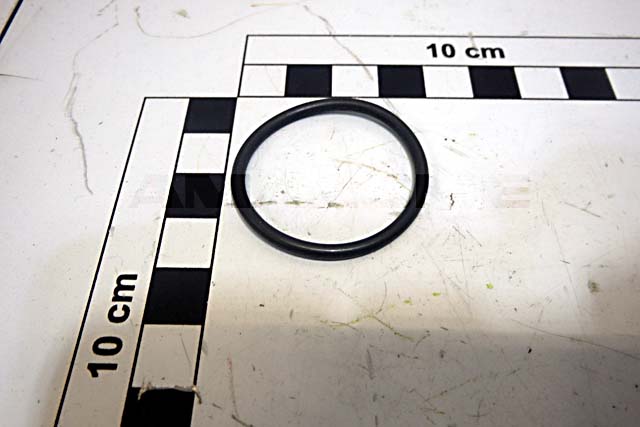 O-Ring 31,42X2,62