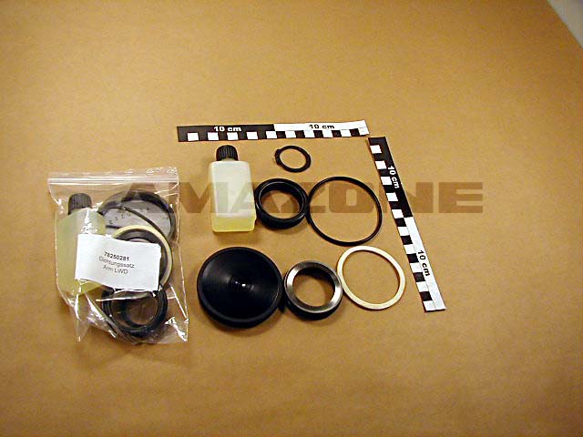 Dichtsatz Scheibenarm LK110 ohne Lager