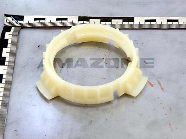 Gleitring
