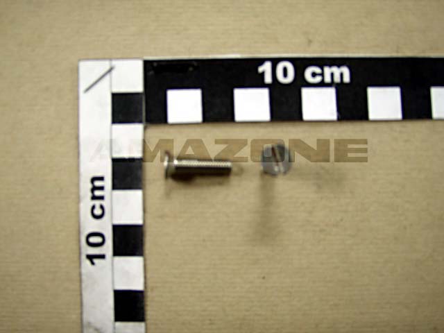 Senkschraube ISO 7046-2 5x20 H2 VA