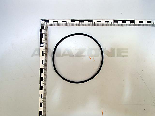 O-Ring 110,00X4,00