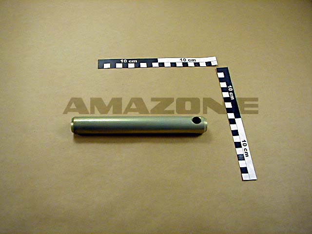 Bolzen 25x190