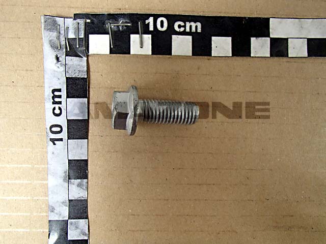 Sperrzahnschraube 12x30 100 VZ