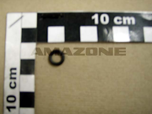 O-Ring 6,00x2,00