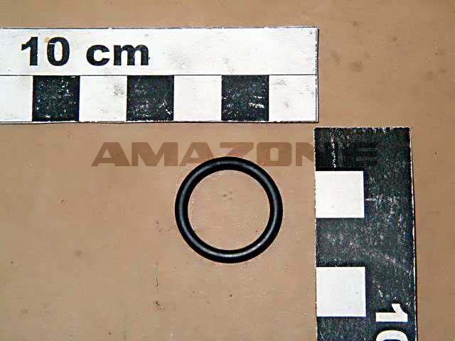 O-Ring 17,13x2,62