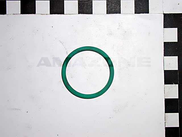 O-Ring 36,00X3,00
