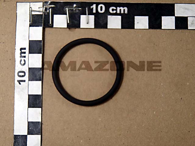 O-Ring 44,00X4,00