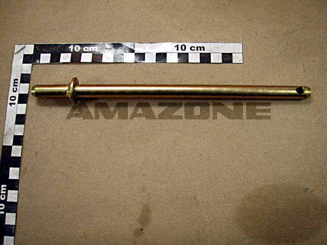 Bolzen 12x250 mit Anschlag