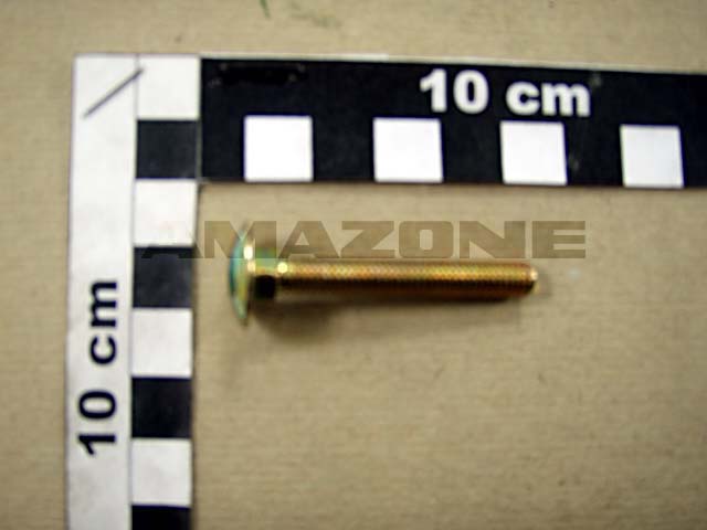 Flachrundschraube DIN 603 6x45 4.6 VZ