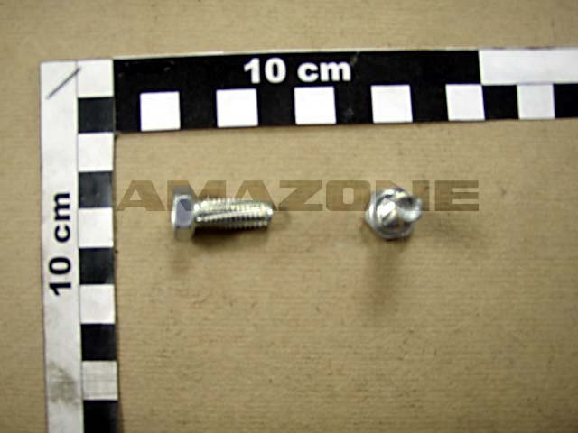 Schneidschraube DIN 7513 A 8x20 VZ