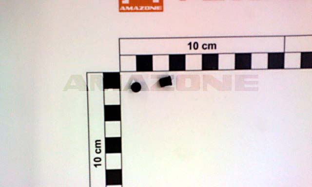 Duese D=0,8