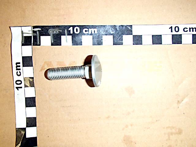 Flachrundschraube DIN 603 12x45 10.9 VZ