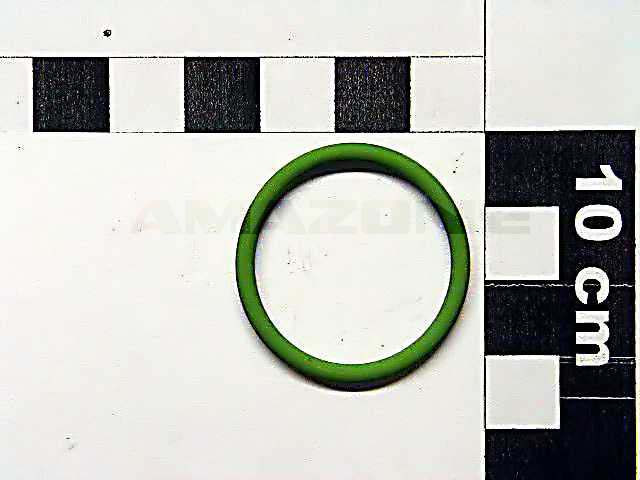O-Ring 26,64X2,62