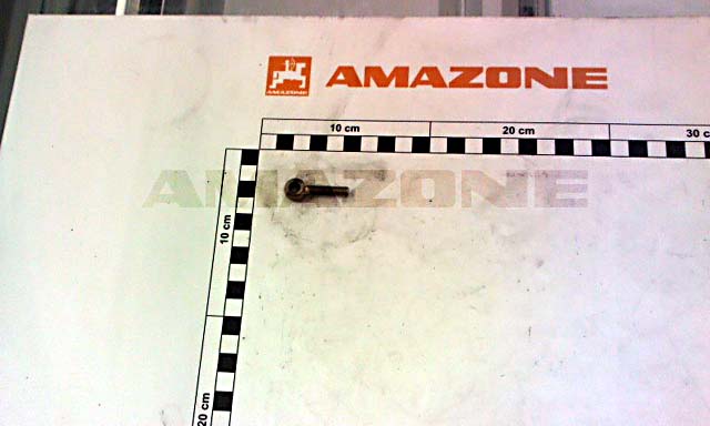 Augenschraube DIN 444LA 6x30 4.6 VZ
