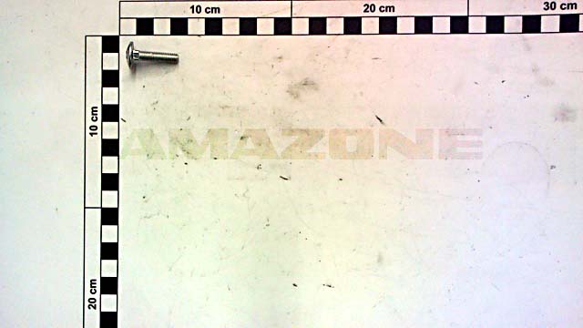 Flachrundschraube DIN 603 6x25 8.8 VZ