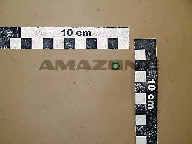 O-Ring 4,50X1,50