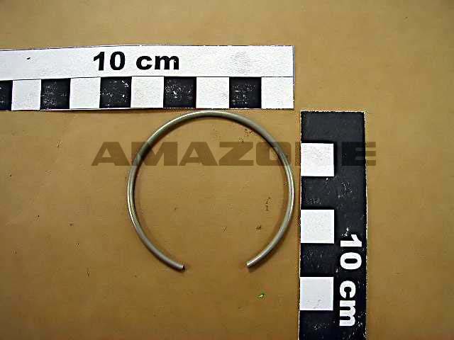 Spannring