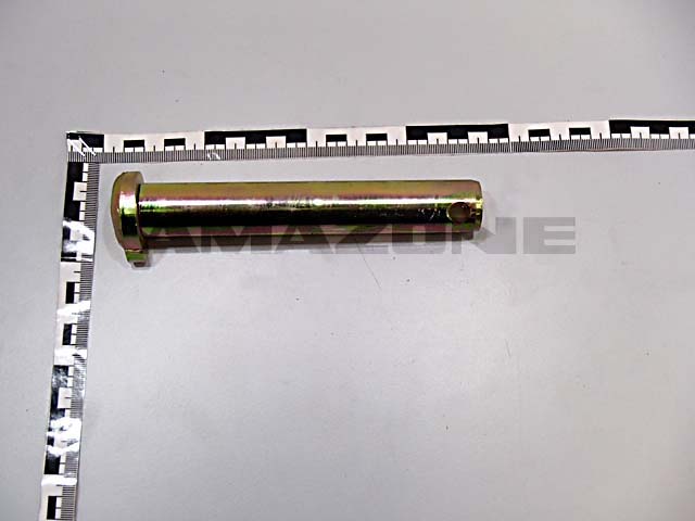 Bolzen 25x170 mit Bund