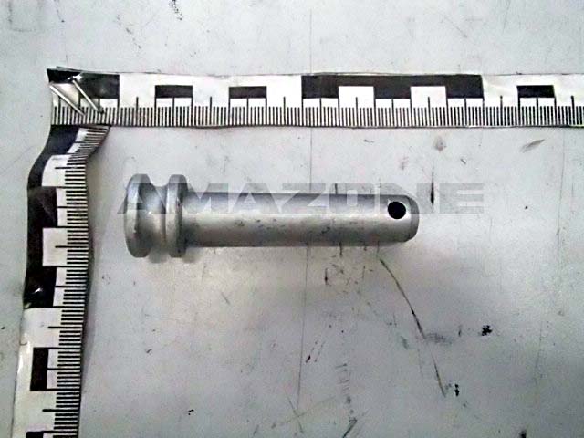 Bolzen 20x69