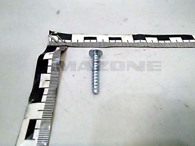 Halbrundkopfschraube 5x30 TX20 10.9 VZ