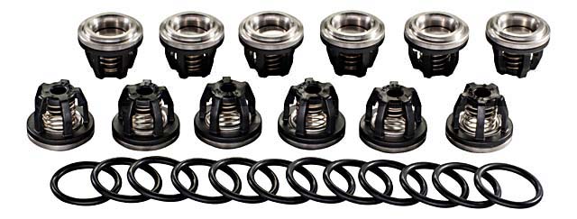 Ventilsatz f. Kolbenmembranpumpe AR 250