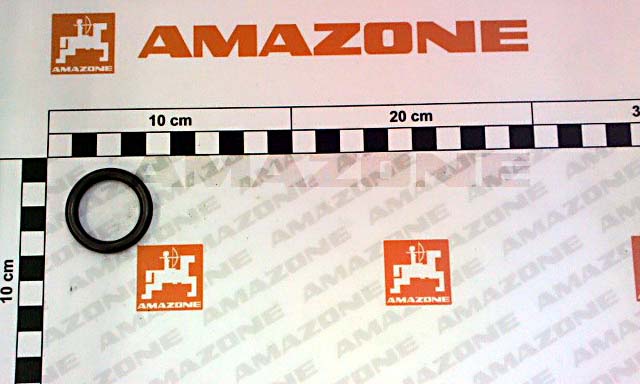 O-Ring 25,00X5,00