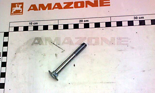 Flachrundschraube DIN 603 10x80 4.6 VZ