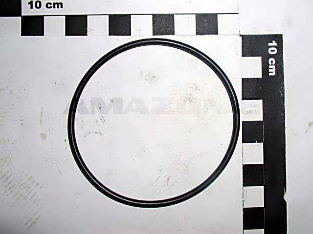 O-Ring 72,00X3,00