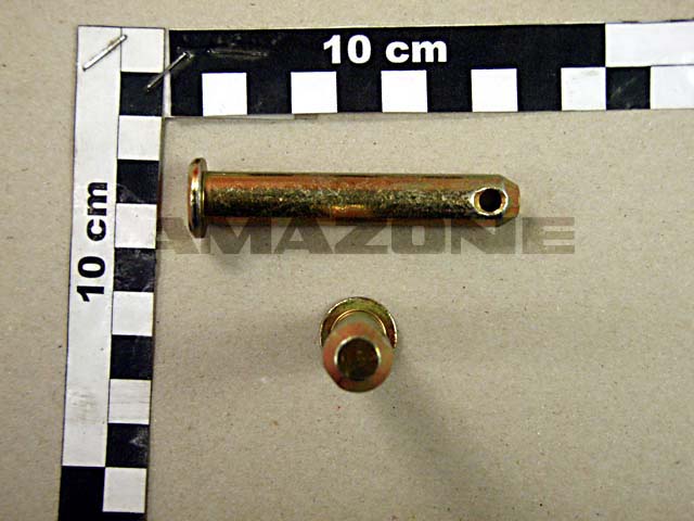 ABSTECKBOLZEN 12X70 (B10)