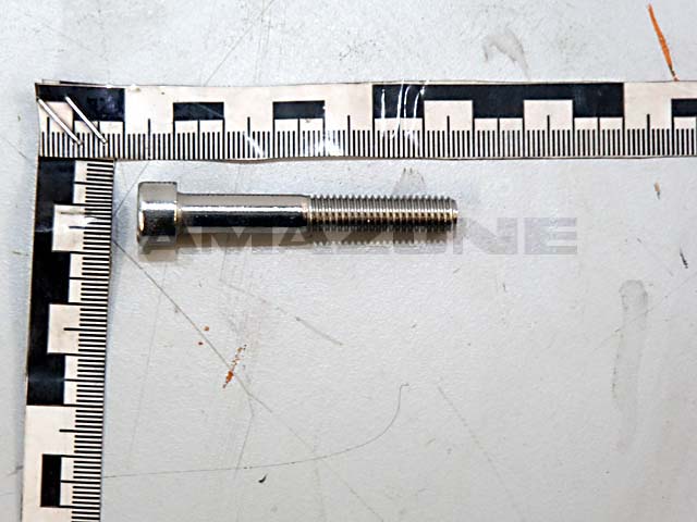 Zylinderschraube ISO 4762 8x55 VA