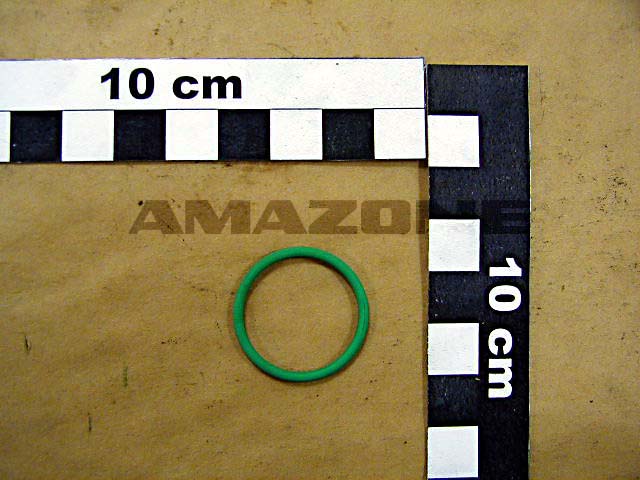 O-Ring 22,00X2,00