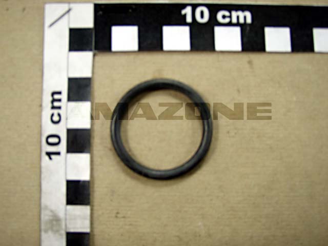 O-Ring 32,00x4,00