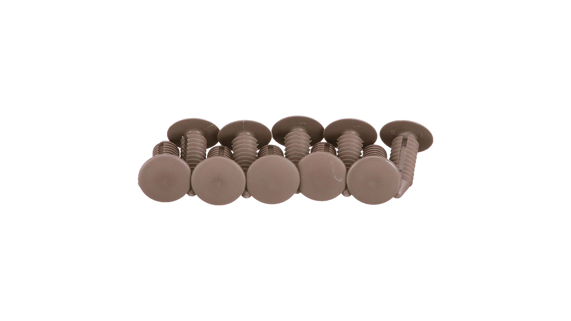 TASTE