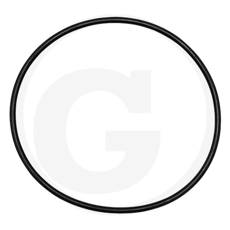 O-ring schwarz