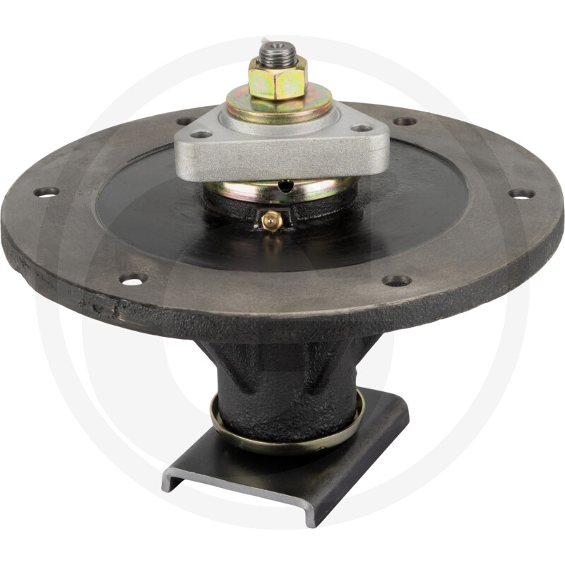 Messerspindel