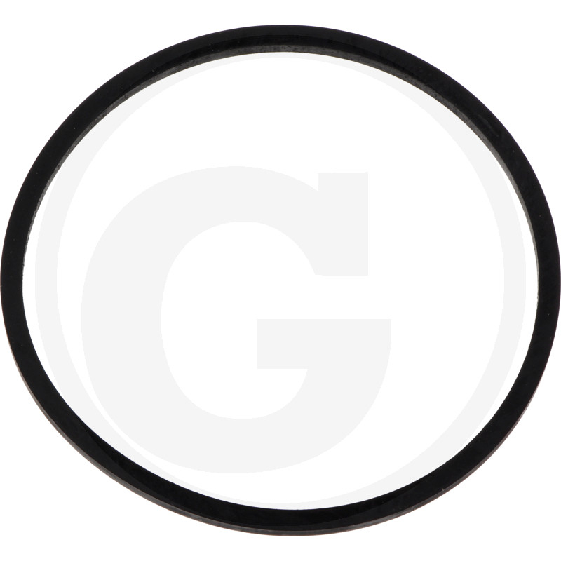 Dichtring