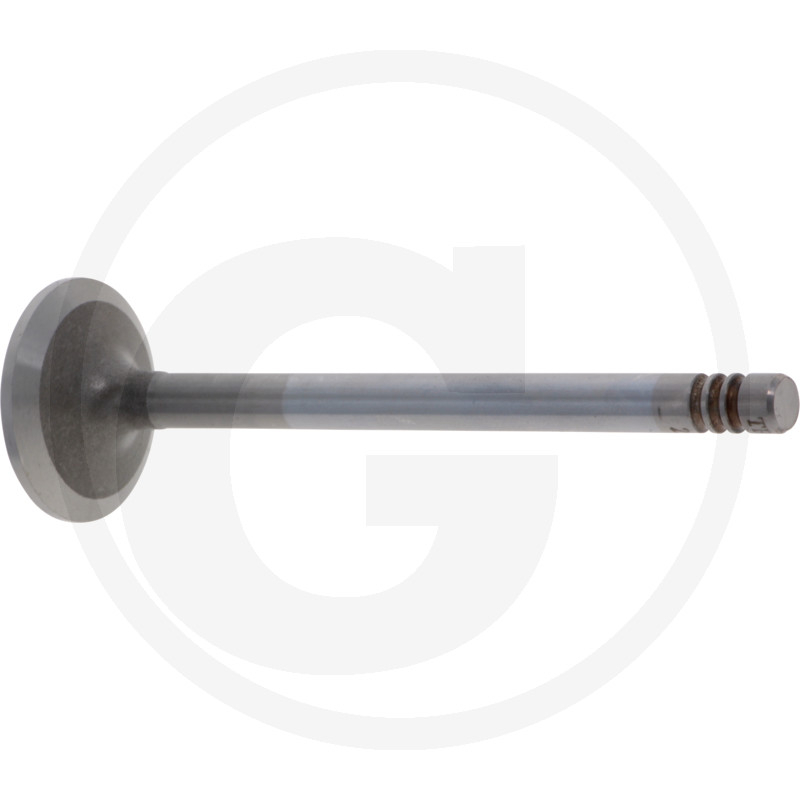 VPE2 Einlassventil, Deutz