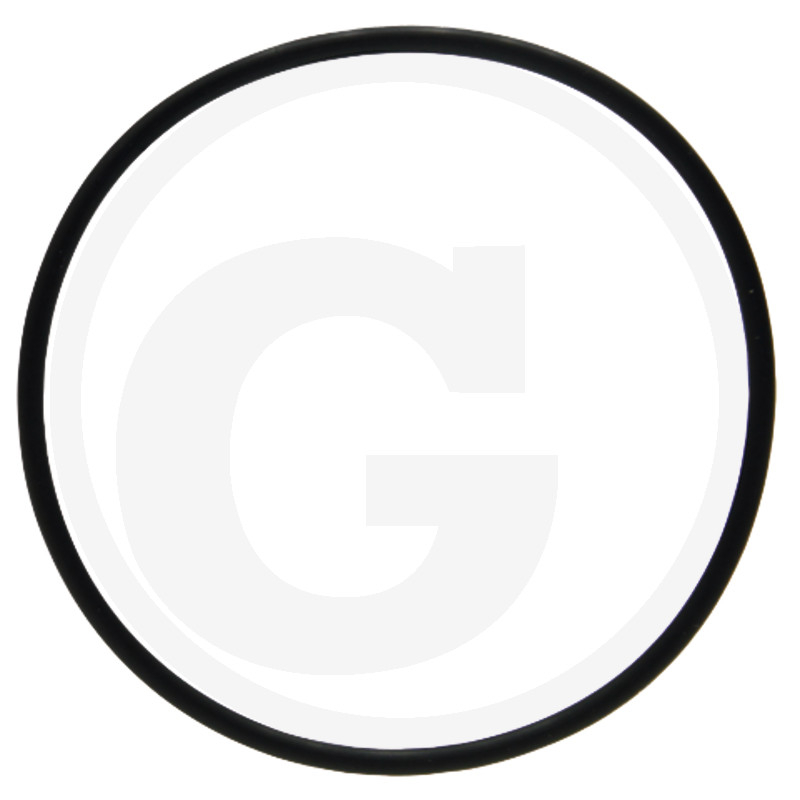O-Ring