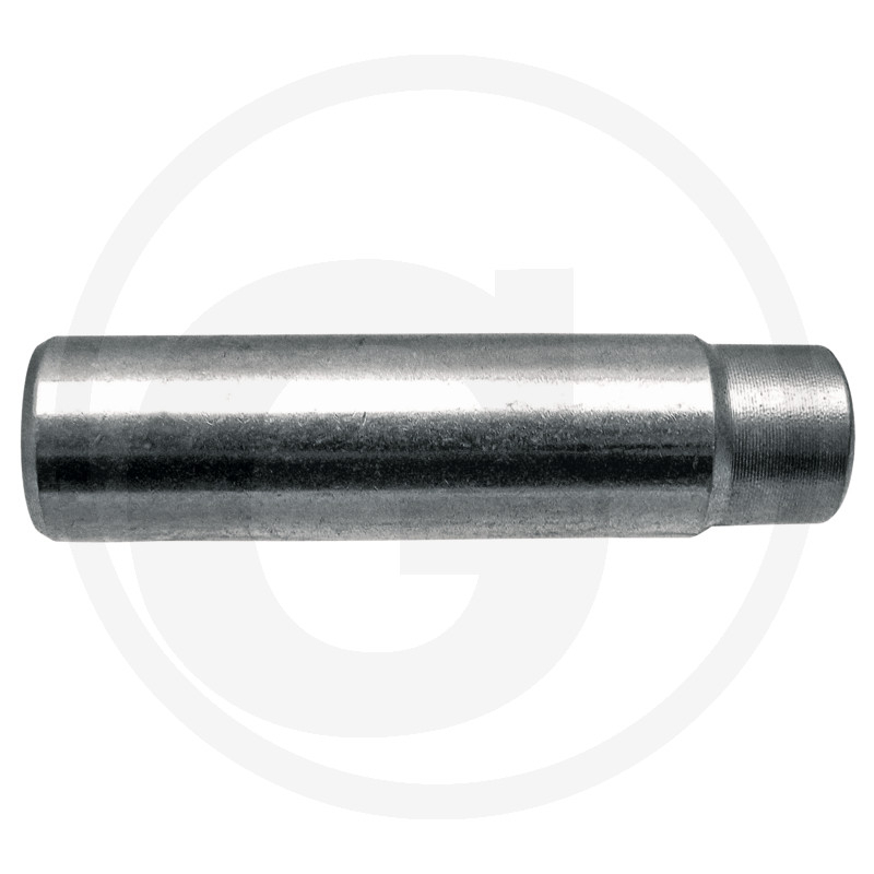 Auslassventilführung