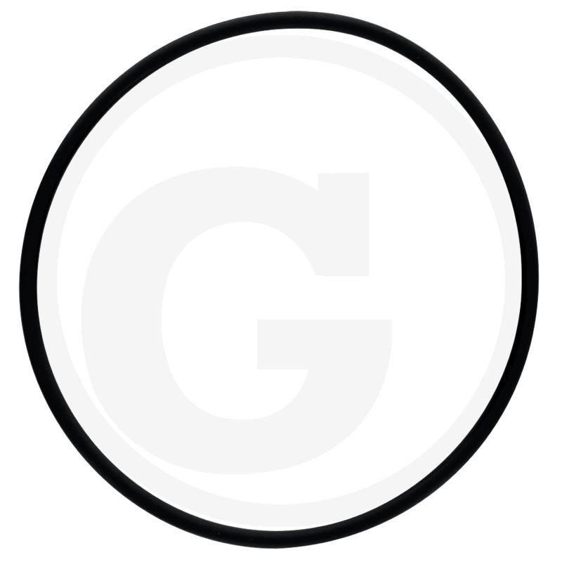 O-Ring