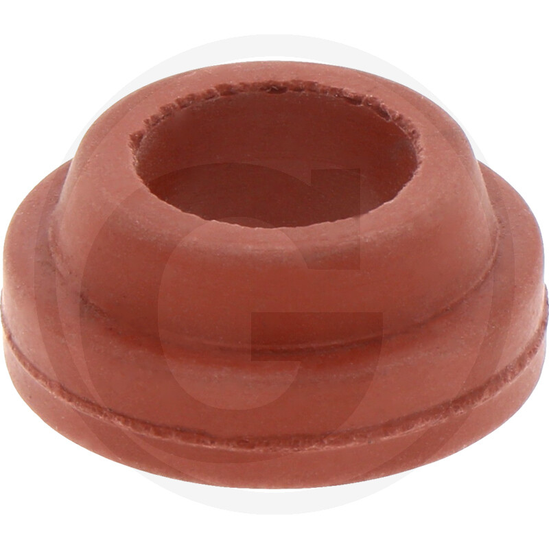 Dichtring