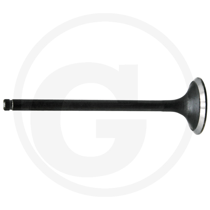 Auslassventil, Stand