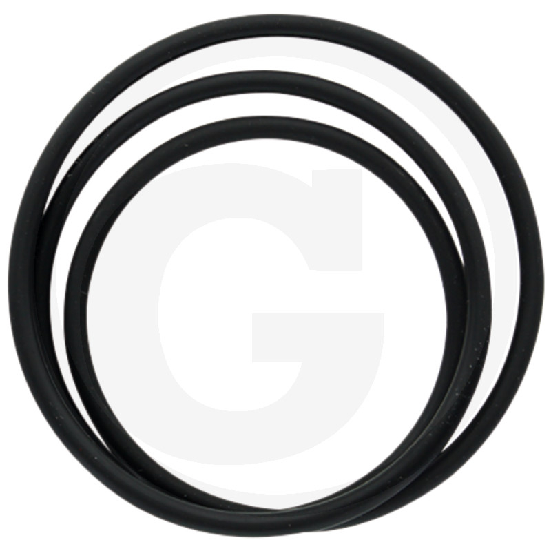 O-Ring OR 4700