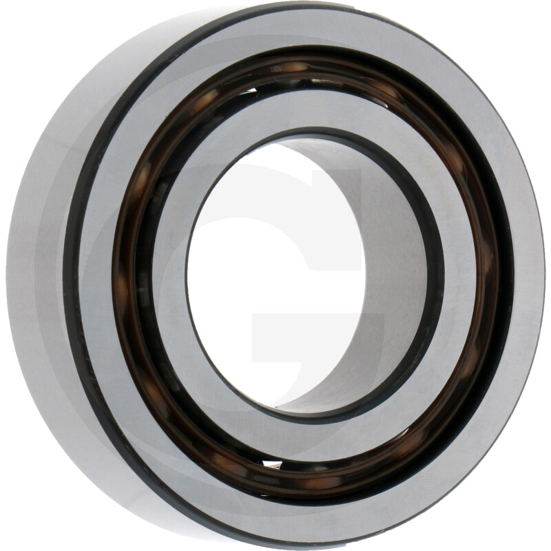 Rillenkugellager 4202-BB-TVH