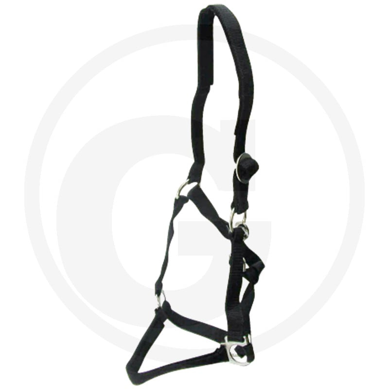 Halfter bordeaux gepolstert Gr.2