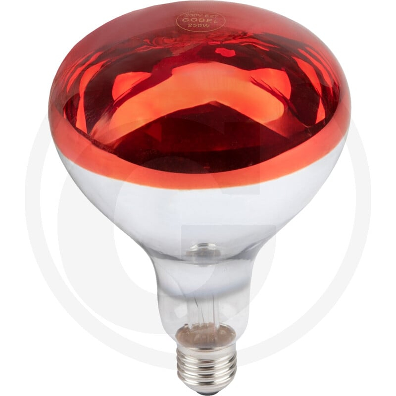 Infrarotlampe 250Watt